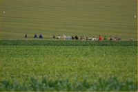 Festival du lin 2010