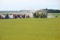 Festival du lin 2010