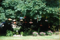 Festival du lin 2010