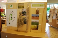 Festival du lin 2011