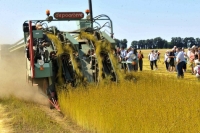 Festival du lin 2011