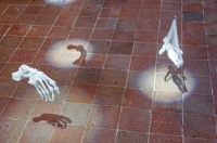 Festival du lin 2012