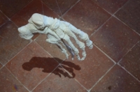 Festival du lin 2012