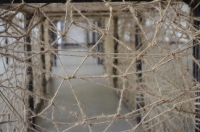 Festival du lin 2012