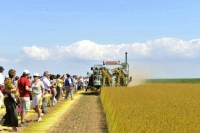 Festival du lin 2012