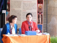 Festival du lin 2013