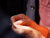 Festival du lin 2013