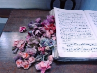 Festival du lin 2013