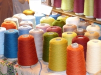 Festival du lin 2013