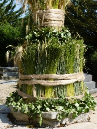 Festival du lin 2013