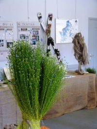 Festival du lin 2013