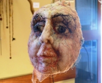 Festival du lin 2013