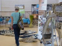 Festival du lin 2014