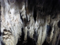 Festival du lin 2014