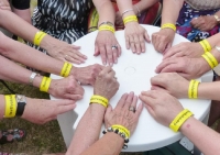 Festival du lin 2015