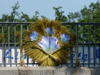 Festival du lin 2015