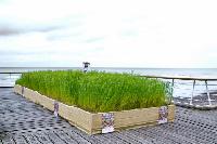 Festival du lin 2016