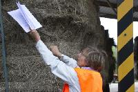 Festival du lin 2016