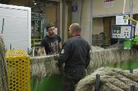 Festival du lin 2016