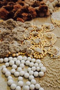 Frédérique Breuillé