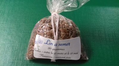 Graines de Lin