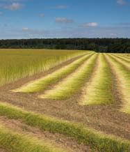 Pays de caux et côte d'Albâtre